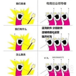 店淘精細化運營技術(shù)轉(zhuǎn)讓